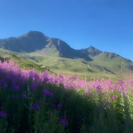 Saint-roch * Val Cenis